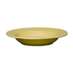 Classic Rim 9 Inch Soup Bowl 13 OZ