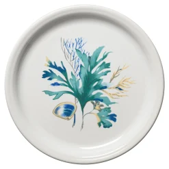 Coastal Shores Bistro Coupe 9 Inch Luncheon Plate