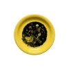 Skeleton Duet Sunflower Bistro Coupe 6 1/4 Inch Appetizer Plate